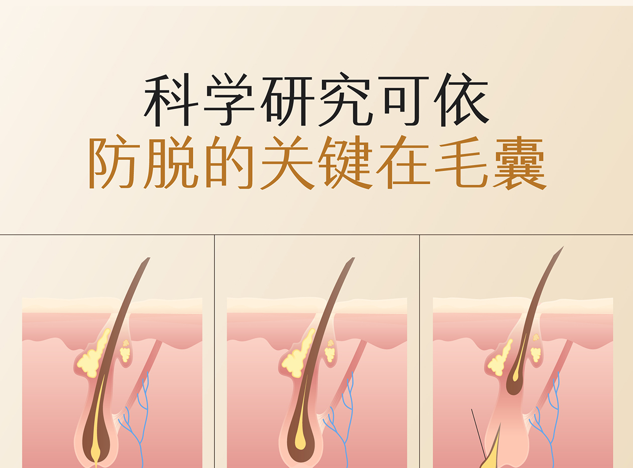 防脱洗发水详情页 12